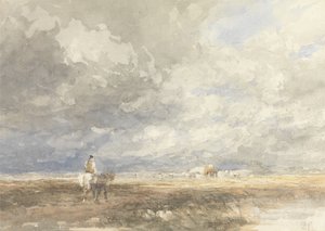 Andare a Hayfield da David Cox