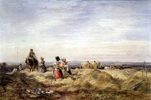 Nel campo di fieno
