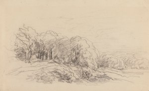 Paesaggio con alberi