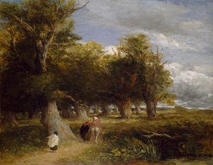Margini della foresta, 1855 da David Cox