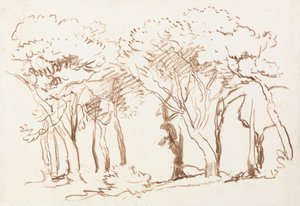 Studio degli alberi