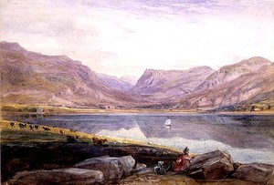 Tal-y-llyn, Galles del Nord da David Cox