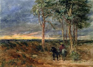 Viaggiatori che si avvicinano a un cartello su una brughiera, 1851 da David Cox