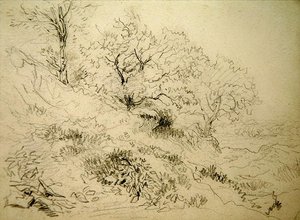 Paesaggio gallese da David Cox