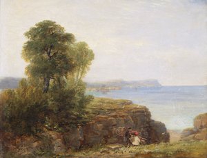 Baia di Cardigan