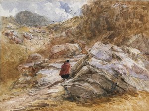 Passo di montagna a Bettws-y-Coed