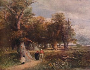 I Margini della Foresta, 1855, 1938 da David Cox the elder