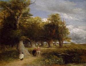I margini della foresta, 1856 da David Cox the elder
