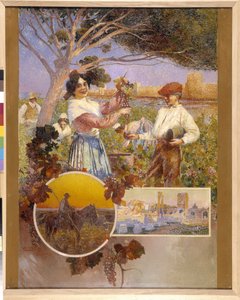 Aigues-Mortes, Arles, la Camargue: una giovane donna mostra un bel grappolo d
