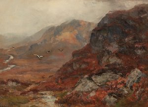 Colline delle Highlands