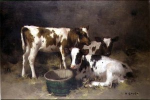 Tre vitelli da David Gauld