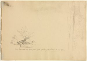 Studi di paesaggio e alberi verso, c. 1851