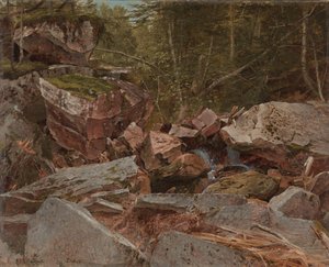 Studio, North Conway, New Hampshire, 1851 da David Johnson