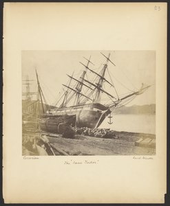 La "Jane Tudor" da David Johnson