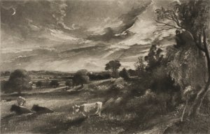 Sera d