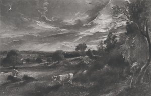 Sera d