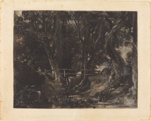 Una valle a Helmingham Park, Suffolk da David Lucas after John Constable
