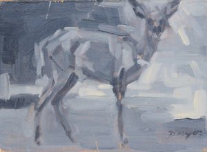 Bushbuck Doe, 2016