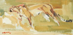 Ghepardo, 2015 da David Mayer