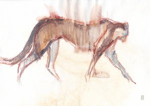 Caccia al ghepardo