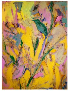 Storni, 2017 da David McConochie