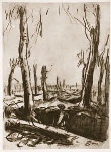 Trincee rovinate a Mametz Wood, illustrazione da 