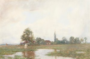 Attraverso il prato acquatico