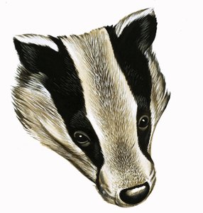 Il signor e la signora Badger a casa da David Pratt
