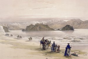 Isola di Graie, Golfo di Akabah, Arabia Petraea, 27 febbraio 1839, tavola 108 dal Volume III di 
