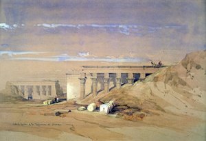 Vista laterale del tempio chiamato Tifoneo a Dendera, Egitto, XIX secolo da David Roberts