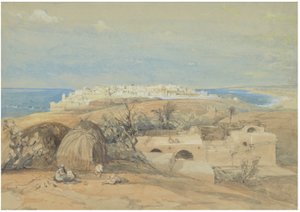 Vista di Giaffa, verso nord da David Roberts
