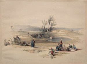 Pozzi di Mosè, deserto di Tyh da David Roberts