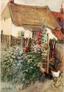 Il giardino