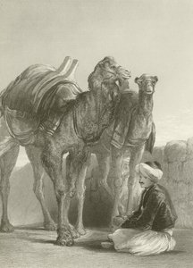 Un gruppo di cammelli a Smirne da David Wilkie