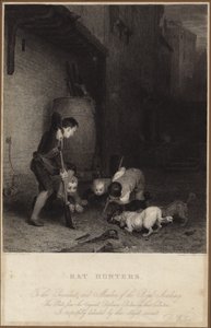 Cacciatori di ratti da David Wilkie
