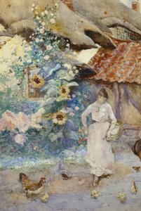Dare da mangiare alle galline da David Woodlock
