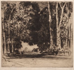 Il Viale