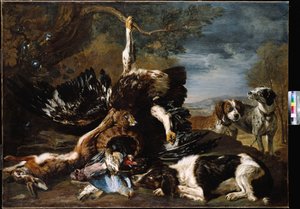 Uno spaniel, un