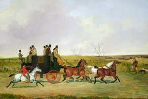 Cavallo e carrozza