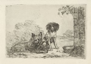 Due cani da David van der Kellen