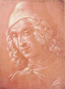Testa di un uomo