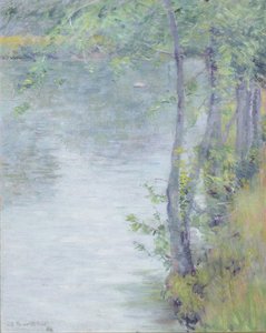 Mattina presto sul Farmington da Dawson Dawson Watson