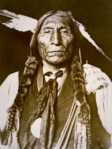 Wolf Robe (n.1841)