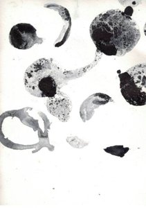 Forme astratte fluide da Deb Chaney