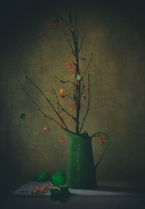  da Delphine Devos