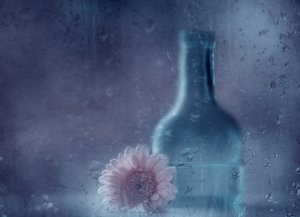 Gerbera da sogno sotto la pioggia da Delphine Devos