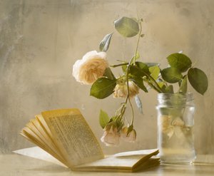 "Faded Roses" - Libro aperto da Delphine Devos