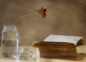 Fioritura malinconica e libro da Delphine Devos