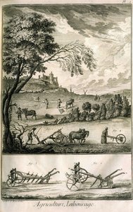 Lavoro nei campi - Agricoltura, semina, aratura. Vari modelli di rulli e aratri: Tavola di un volume di illustrazioni dall