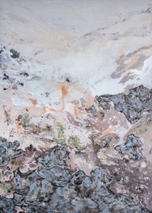 Texture della terra biologica da Denise Quah